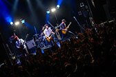 マタタビツアー 阿倍野ROCK TOWN Photo by hub